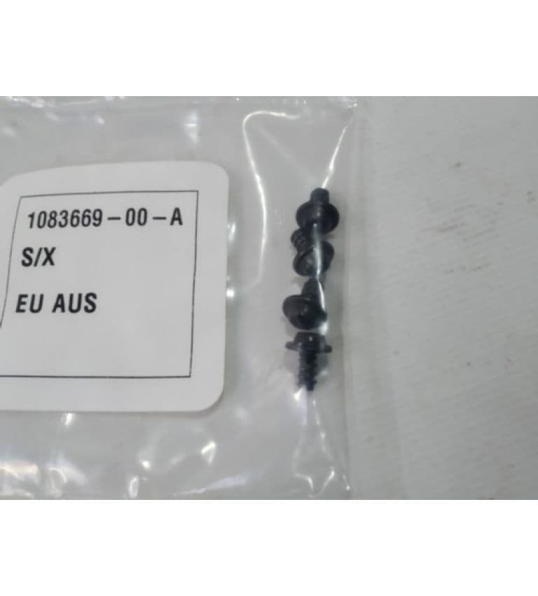 Болт крепления поиума номерного знака EU-AU, Tesla Model S (OEM 1083669-00-A)