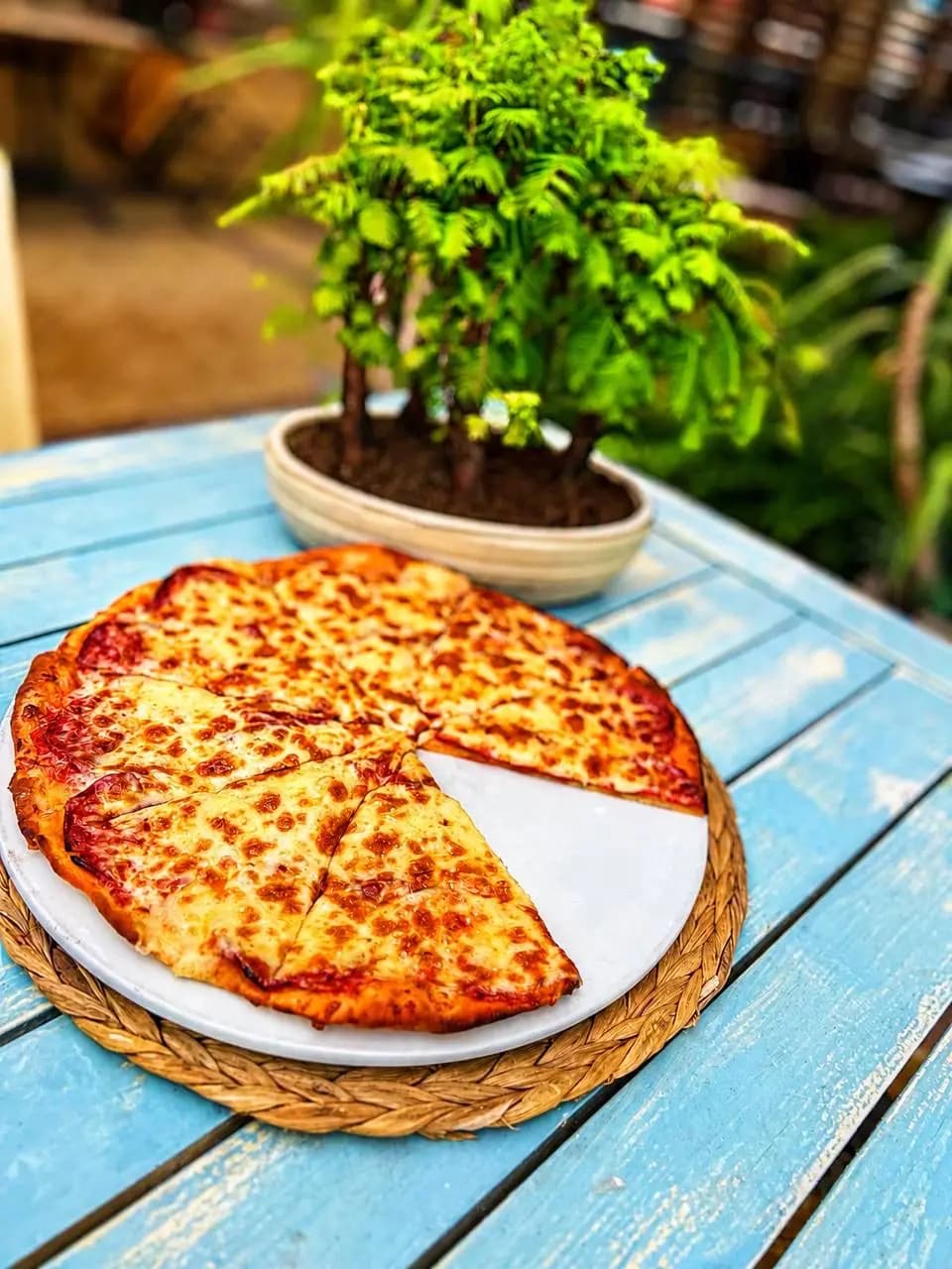 Пица Пеперони — The Step Garden, Слънчев бряг