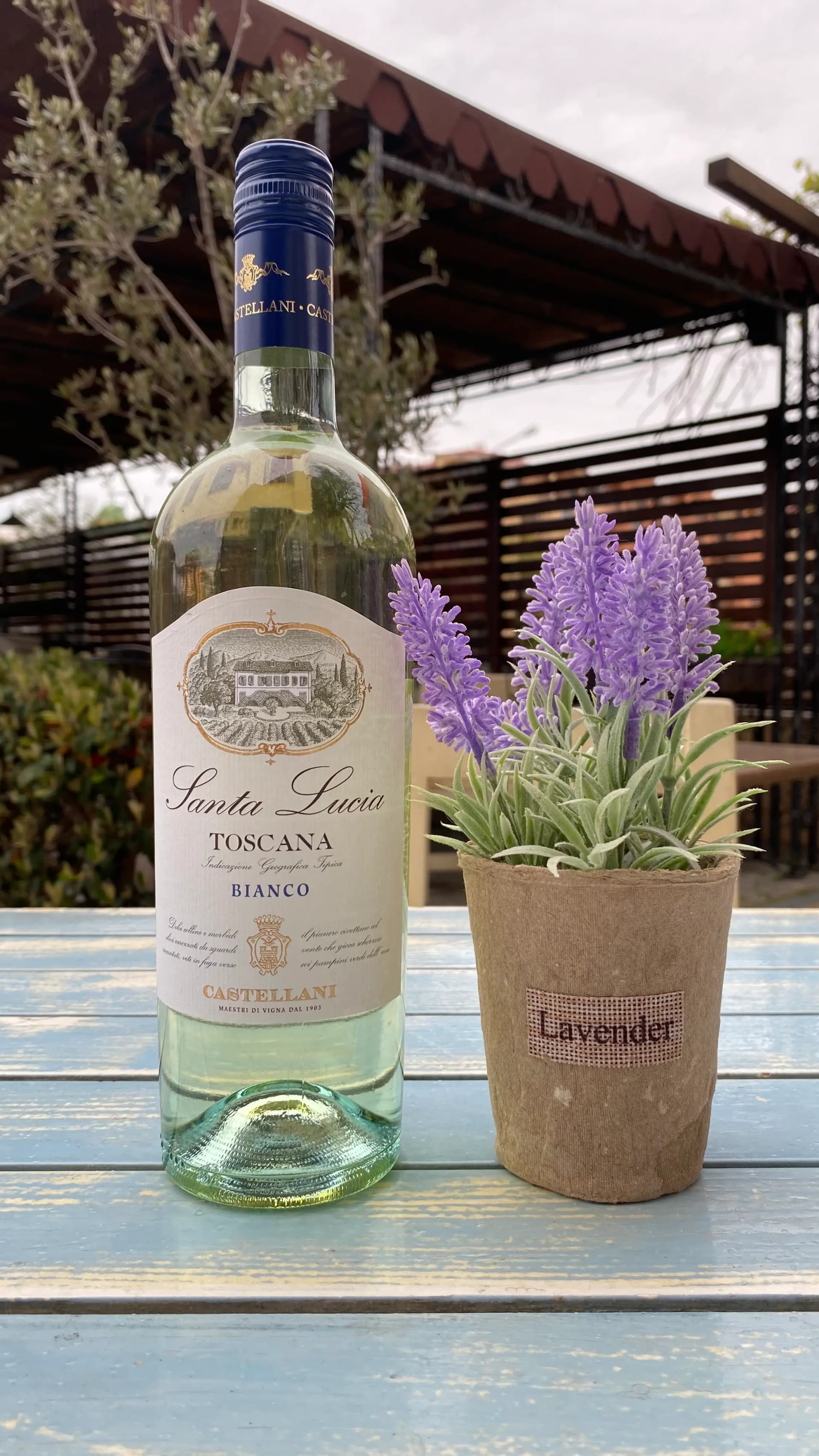 Вино Janta Jucia Toscana Bianco Castellani 150 мл — The Step Garden, Слънчев бряг