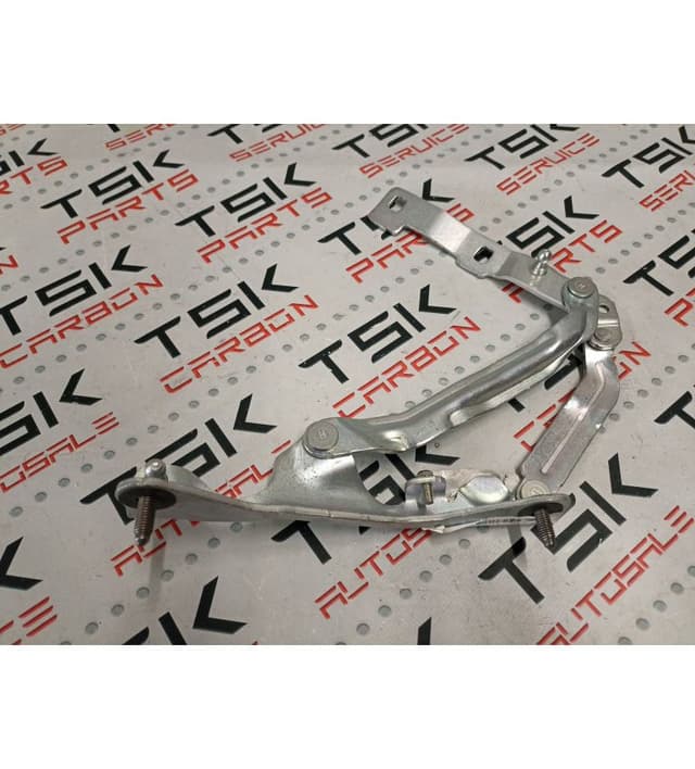 Петля крышки багажника левая {M3 20-}, Tesla Model S (OEM 1667399-00-C)