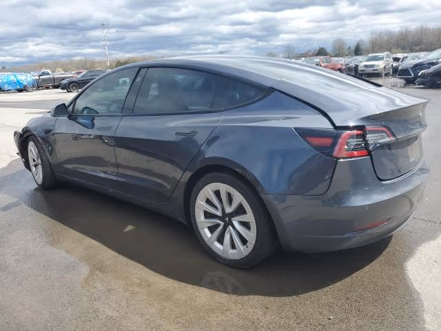 Tesla Model 3 2021