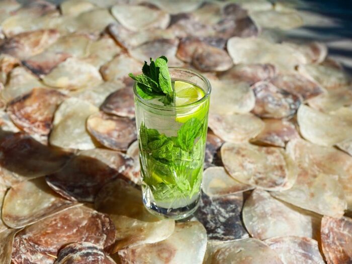 Mojito — Sea Esta Restaurant, Odesa