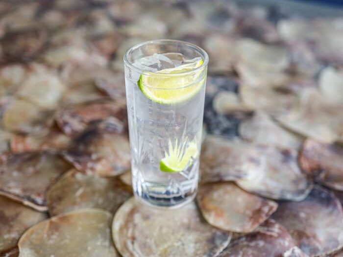 Gin Tonic — Sea Esta Restaurant, Odesa