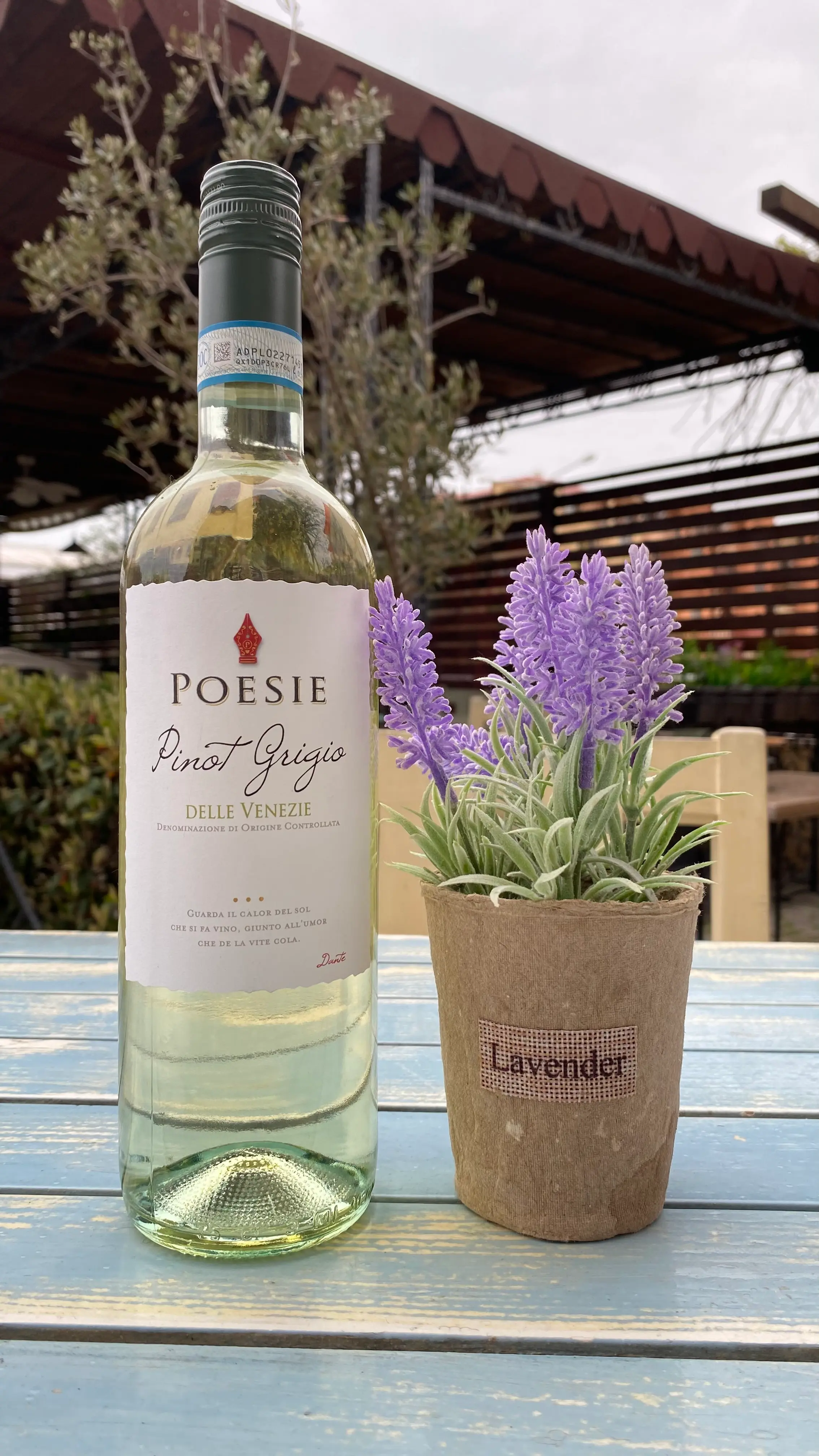 Вино Poesie Pinot Grigio 150 мл — The Step Garden, Slanchev briah