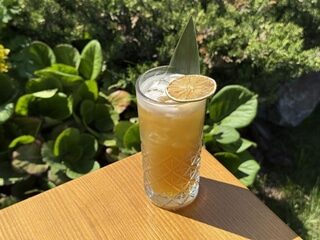 BAHAMA MAMA