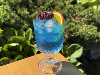 BLUE LAGOON