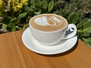 CAPUCCINO