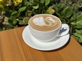 FLAT WHITE