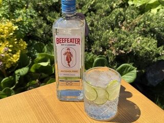 GIN TONIC ALC 0.0
