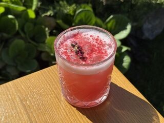 PALOMA SOUR