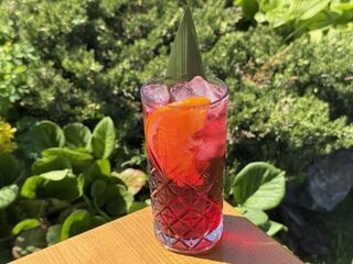 PALOMA ZERO
